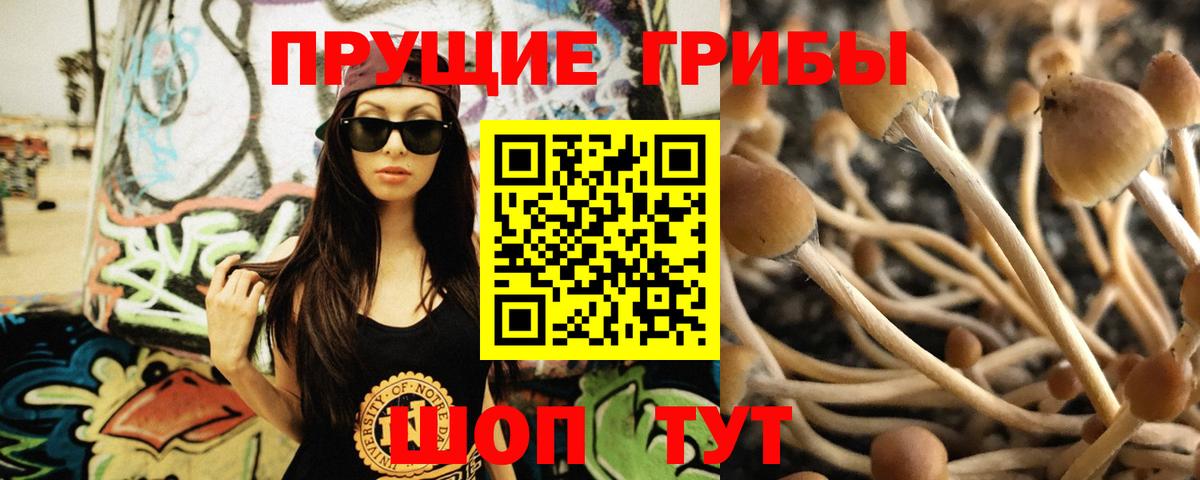 Псилоцибиновые грибы мухоморы Смоленск